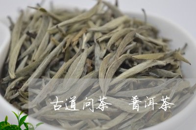 古道问茶 普洱茶/2023041202605